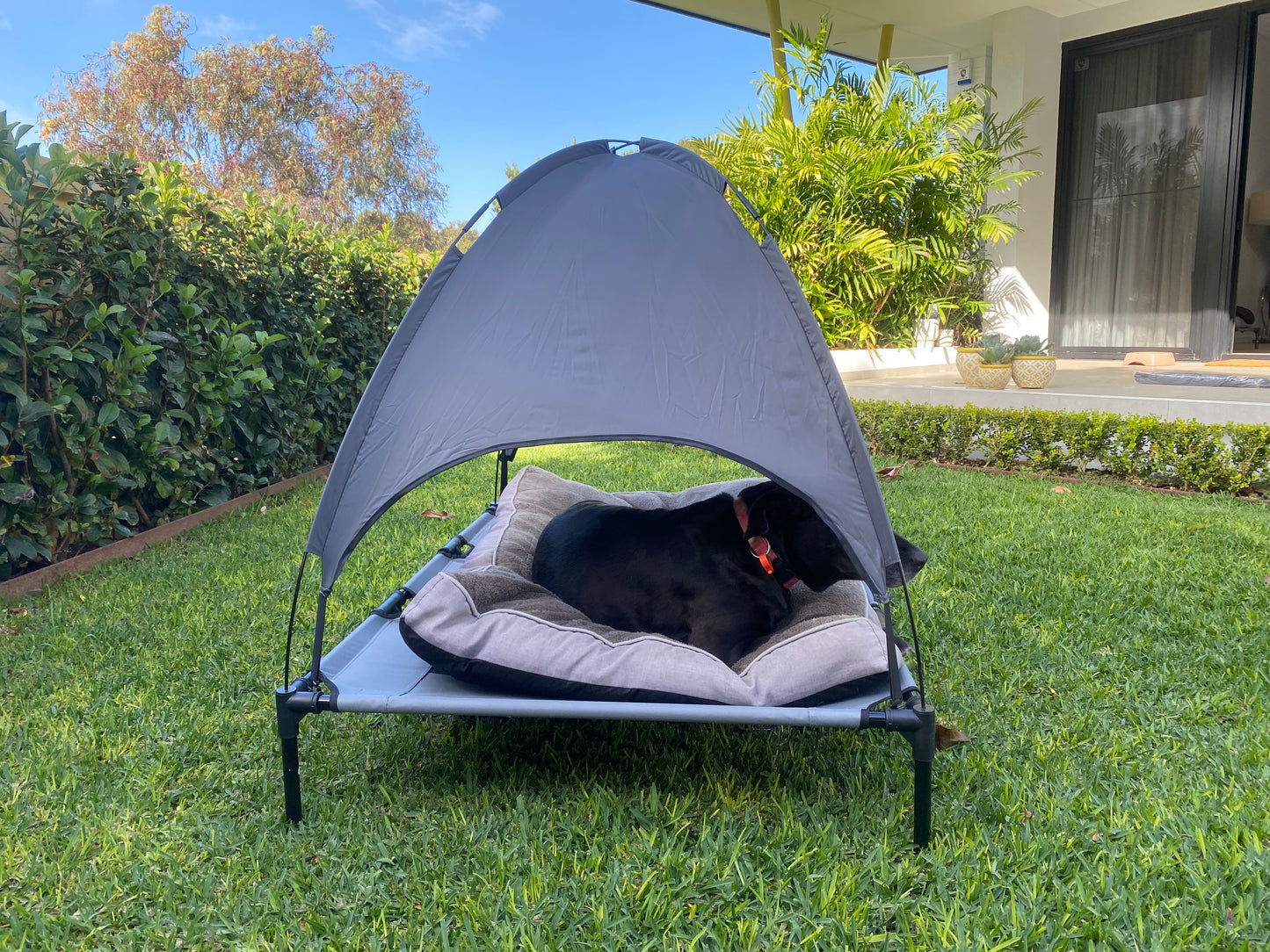 PupHut Outdoor Raised Dog Bed – XL Size Lounger with Shade Canopy